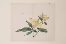 Page from Shi Zhu Zhai. Creator: Unknown