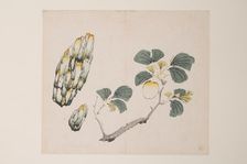 Page from Shi Zhu Zhai. Creator: Unknown