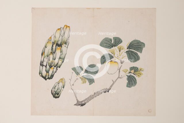 Page from Shi Zhu Zhai. Creator: Unknown.