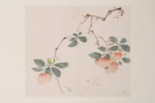 Page from Shi Zhu Zhai. Creator: Unknown