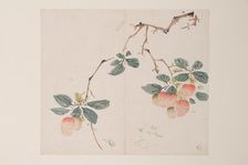 Page from Shi Zhu Zhai. Creator: Unknown