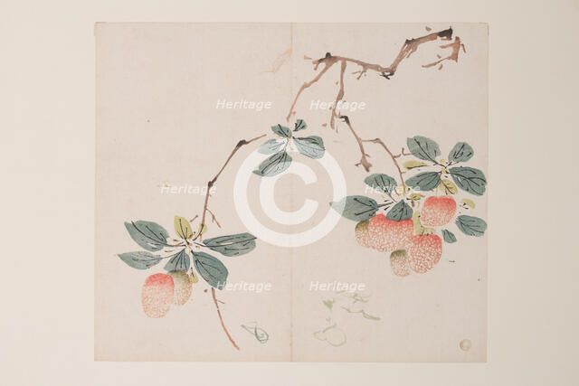 Page from Shi Zhu Zhai. Creator: Unknown.