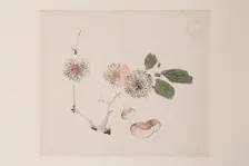 Page from Shi Zhu Zhai. Creator: Unknown