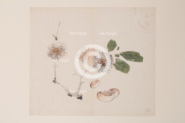 Page from Shi Zhu Zhai. Creator: Unknown.