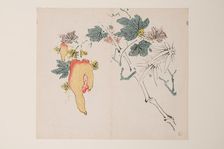 Page from Shi Zhu Zhai. Creator: Unknown