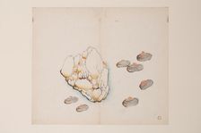 Page from Shi Zhu Zhai. Creator: Unknown