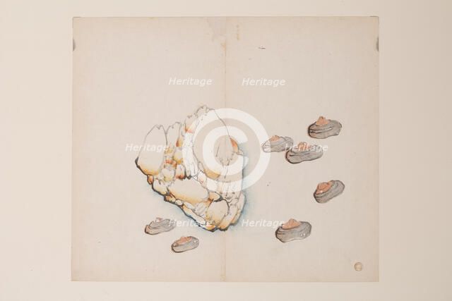 Page from Shi Zhu Zhai. Creator: Unknown.