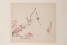 Page from Shi Zhu Zhai. Creator: Unknown