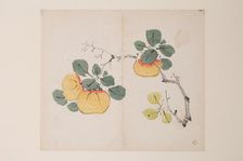 Page from Shi Zhu Zhai. Creator: Unknown