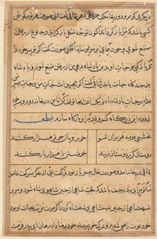 Page from Tales of a Parrot (Tuti-nama): text page, c. 1560. Creator: Unknown