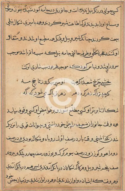 Page from Tales of a Parrot (Tuti-nama): text page, c. 1560. Creator: Unknown.