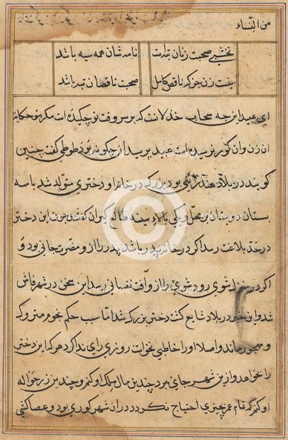 Page from Tales of a Parrot (Tuti-nama): text page, c. 1560. Creator: Unknown.