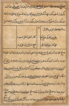 Page from Tales of a Parrot (Tuti-nama): text page, c. 1560. Creator: Unknown