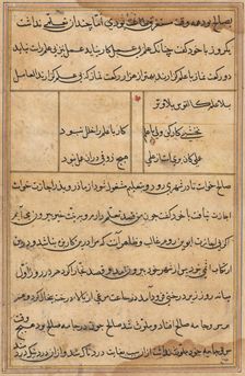 Page from Tales of a Parrot (Tuti-nama): text page, c. 1560. Creator: Unknown