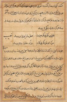 Page from Tales of a Parrot (Tuti-nama): text page, c. 1560. Creator: Unknown
