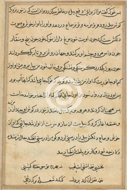 Page from Tales of a Parrot (Tuti-nama): text page, c. 1560. Creator: Unknown.