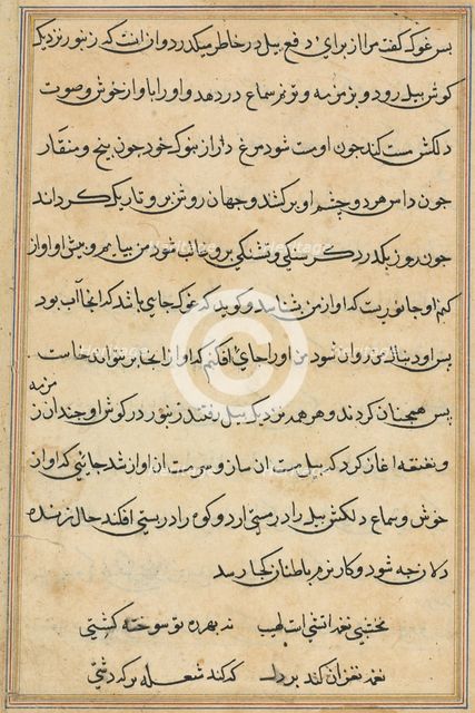 Page from Tales of a Parrot (Tuti-nama): text page, c. 1560. Creator: Unknown.