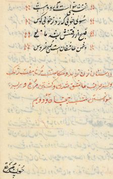 Page from Tales of a Parrot (Tuti-nama): text page, c. 1560. Creator: Unknown