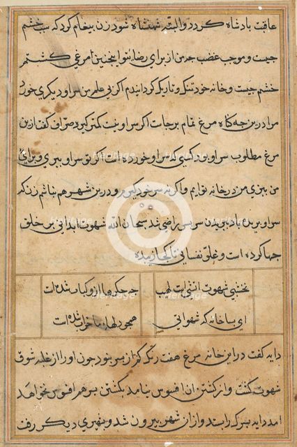 Page from Tales of a Parrot (Tuti-nama): text page, c. 1560. Creator: Unknown.
