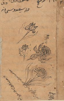 Page from Tales of a Parrot (Tuti-nama): text page, c. 1560. Creator: Unknown