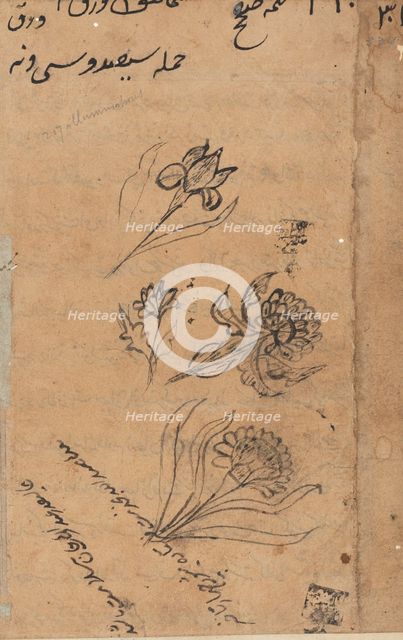 Page from Tales of a Parrot (Tuti-nama): text page, c. 1560. Creator: Unknown.