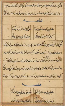 Page from Tales of a Parrot (Tuti-nama): text page, c. 1560. Creator: Unknown