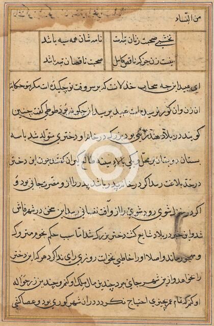 Page from Tales of a Parrot (Tuti-nama): text page, c. 1560. Creator: Unknown.