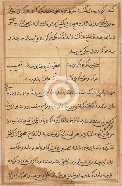 Page from Tales of a Parrot (Tuti-nama): text page, c. 1560. Creator: Unknown.