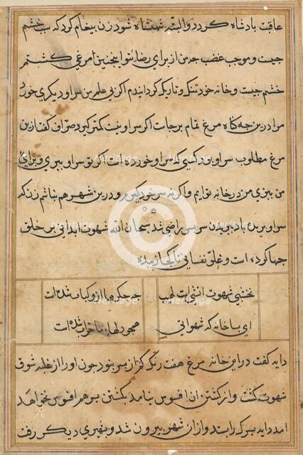 Page from Tales of a Parrot (Tuti-nama): text page, c. 1560. Creator: Unknown.