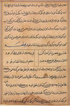 Page from Tales of a Parrot (Tuti-nama): text page, c. 1560. Creator: Unknown
