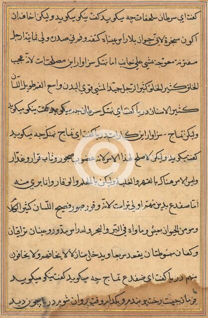 Page from Tales of a Parrot (Tuti-nama): text page, c. 1560. Creator: Unknown.