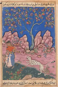 Page from Tales of a Parrot (Tuti-nama): Thirtieth night: The woman conversing..., c. 1560. Creator: Unknown