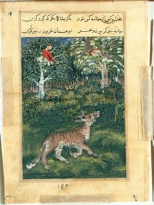 Page from Tales of a Parrot (Tuti-nama): Thirty-first night: The donkey, in a tiger’s skin..., 1558- Creator: Basavana (Indian, active c. 1560-1600), attributed to