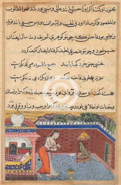 Page from Tales of a Parrot (Tuti-nama): Thirty-first night: The parrot..., 1558-1560. Creator: Unknown.