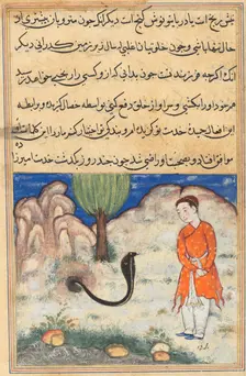 Page from Tales of a Parrot (Tuti-nama): Thirty-seventh night: The prince..., c. 1560. Creator: Unknown