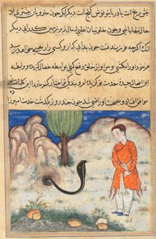 Page from Tales of a Parrot (Tuti-nama): Thirty-seventh night: The prince..., c. 1560. Creator: Unknown