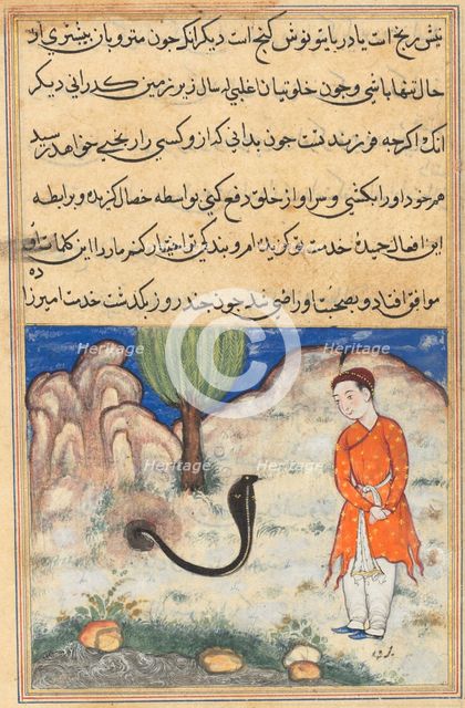 Page from Tales of a Parrot (Tuti-nama): Thirty-seventh night: The prince..., c. 1560. Creator: Unknown.