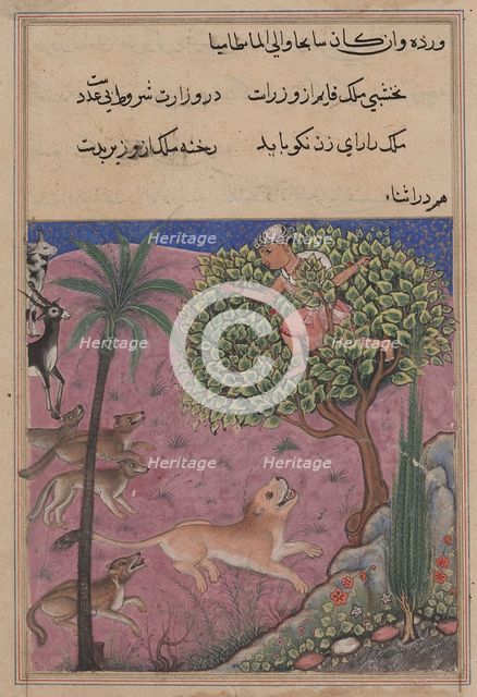 Page from Tales of a Parrot (Tuti-nama): Twenty-first night: The wolf and the jackal..., c. 1560. Creator: Unknown.