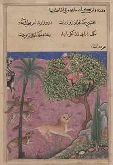Page from Tales of a Parrot (Tuti-nama): Twenty-first night: The wolf and the jackal..., c. 1560. Creator: Unknown