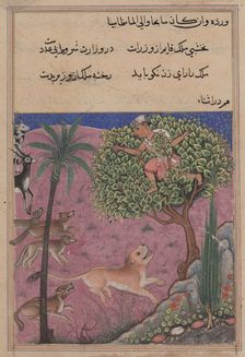 Page from Tales of a Parrot (Tuti-nama): Twenty-first night: The wolf and the jackal..., c. 1560. Creator: Unknown