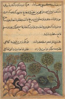 Page from Tales of a Parrot (Tuti-nama): Twenty-sixth night: The dethroned frog..., c. 1560. Creator: Unknown