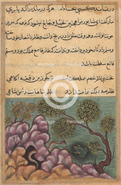 Page from Tales of a Parrot (Tuti-nama): Twenty-sixth night: The dethroned frog..., c. 1560. Creator: Unknown.