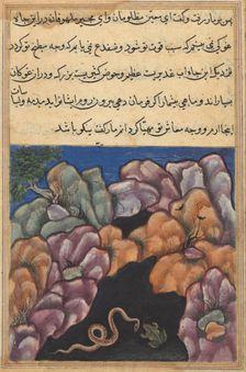 Page from Tales of a Parrot (Tuti-nama): Twenty-sixth night: The snake enters..., c. 1560. Creator: Unknown