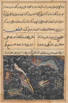 Page from Tales of a Parrot (Tuti-nama): Eleventh night: The creatures of the sea…, c. 1560. Creator: Unknown