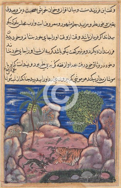 Page from Tales of a Parrot (Tuti-nama): Fifteenth night: The cat attacks the mice..., 1558-1560. Creator: Unknown.