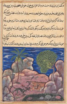 Page from Tales of a Parrot (Tuti-nama): Fifteenth night: The cat attacks the mice..., 1558-1560. Creator: Unknown