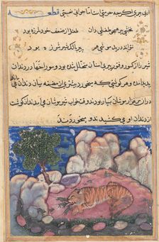 Page from Tales of a Parrot (Tuti-nama): Fifteenth night: The lion disturbed by mice..., 1558-1560. Creator: Unknown