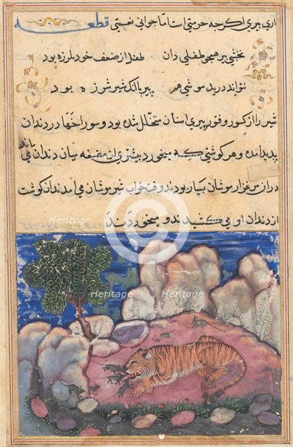 Page from Tales of a Parrot (Tuti-nama): Fifteenth night: The lion disturbed by mice..., 1558-1560. Creator: Unknown.