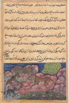 Page from Tales of a Parrot (Tuti-nama): Fifteenth night: The wolf advises the lion..., 1558-1560. Creator: Unknown
