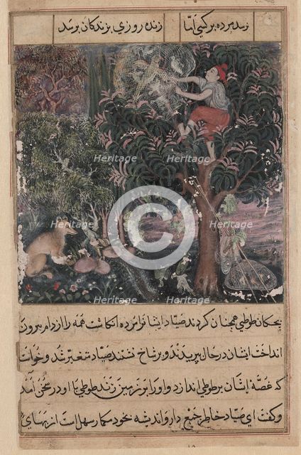 Page from Tales of a Parrot (Tuti-nama): Fifth night: The hunter throws away the baby..., c. 1560. Creator: Basavana (Indian, active c. 1560-1600), attributed to.